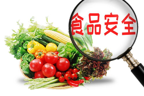 食品質(zhì)量與安全專業(yè) 培養(yǎng)農(nóng)產(chǎn)品安全衛(wèi)士的重要領(lǐng)域