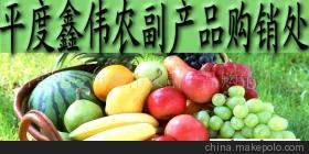 山東玉米市場價格、廠家信息與農(nóng)產(chǎn)品代理介紹