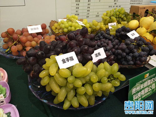 2019中國貴陽國際特色農(nóng)產(chǎn)品交易會盛大開幕，農(nóng)產(chǎn)品貿(mào)易迎來新機(jī)遇