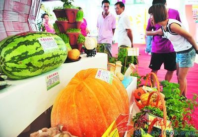 新奇農產品提前露芳顏 農業創新引領餐桌新風尚